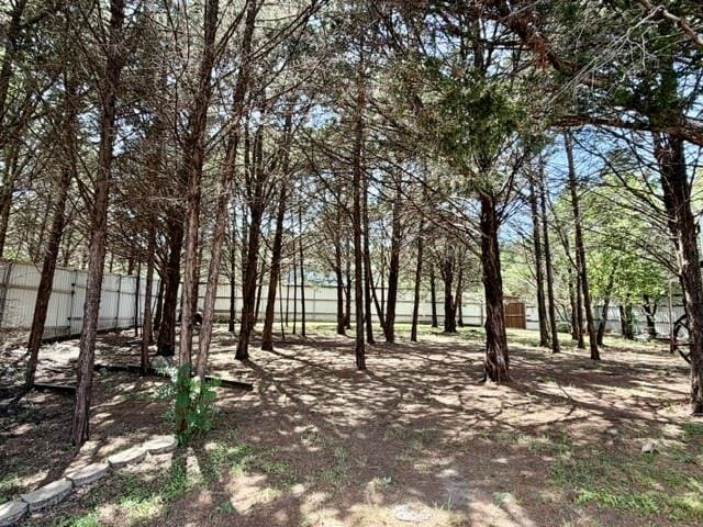363 Willow Drive, Pottsboro TX 75076 - Photo 11