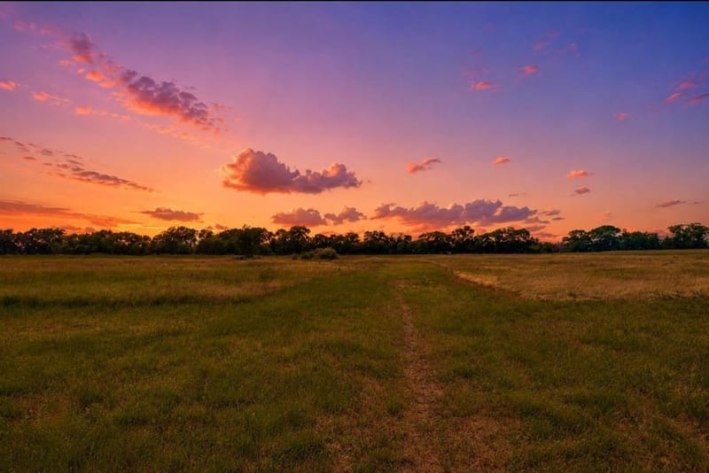 1948 County Road 1255, Savoy TX 75479 - Photo 2