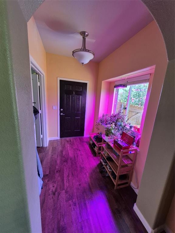 3104 Buckthorn Street, Forney TX 75126 - Photo 6