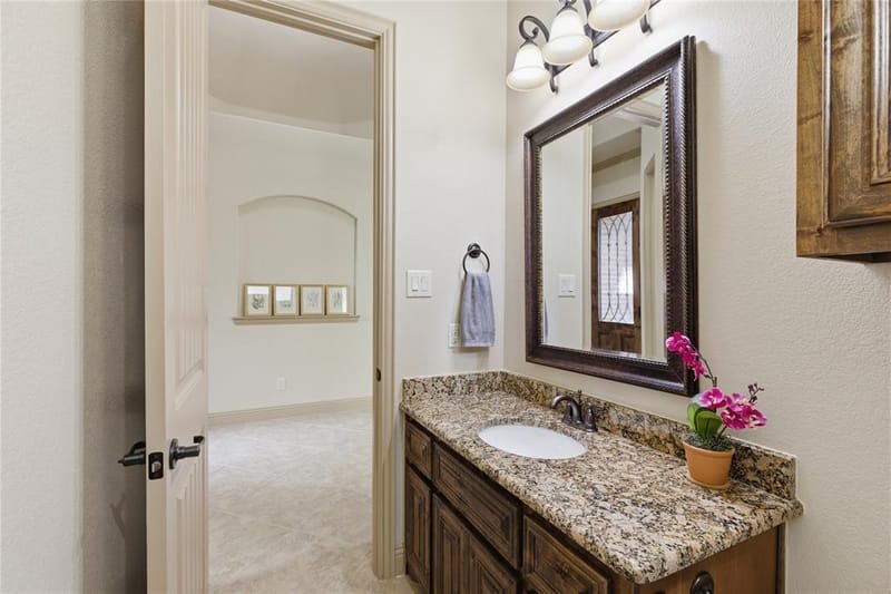 413 Chloe Drive, Allen TX 75013 - Photo 30