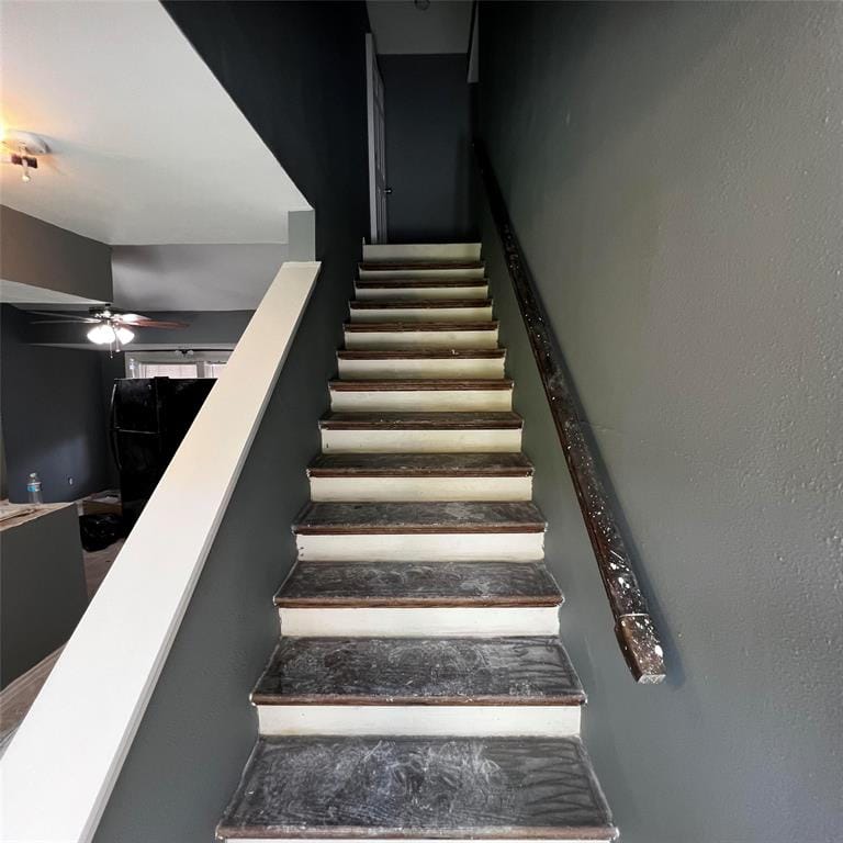 8560 Park Lane # 74, Dallas TX 75231 - Photo 11