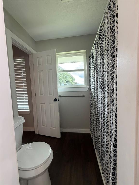 1306 Mcdaniel Street, Callisburg TX 76240 - Photo 21
