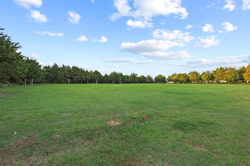 231 Geis Drive, Pottsboro TX 75076 - Photo 40