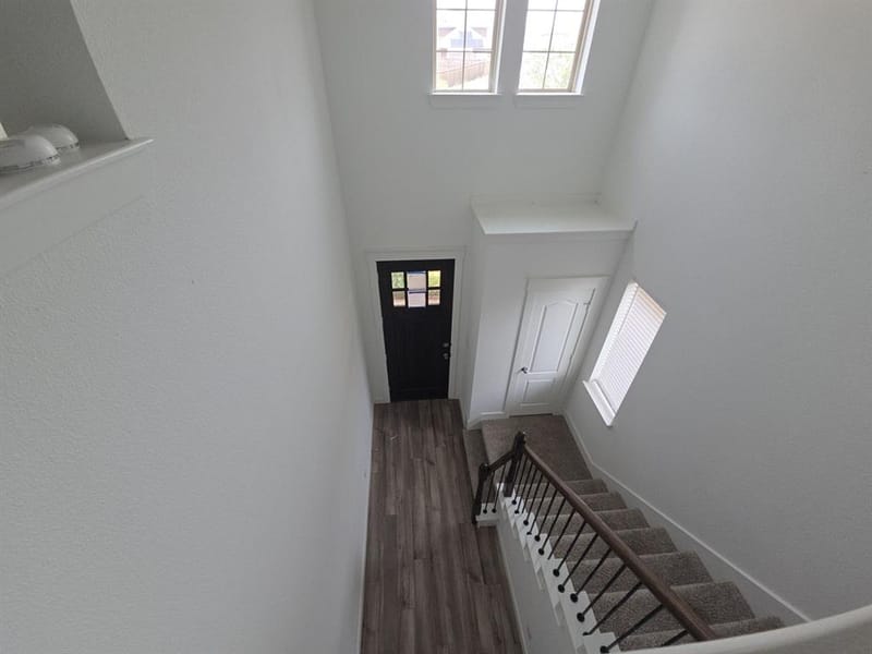 2903 Doggett Drive, Forney TX 75126 - Photo 20