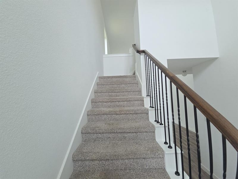 2903 Doggett Drive, Forney TX 75126 - Photo 14