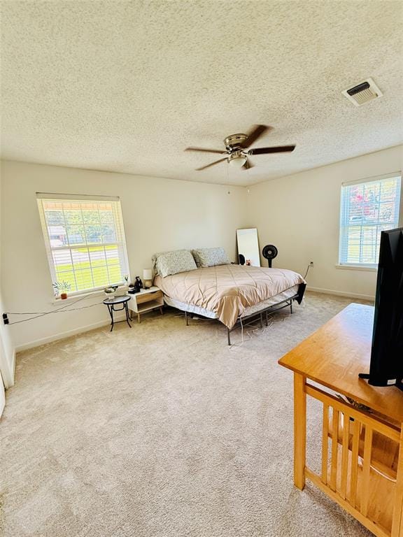 100 Vatra Street, Mount Vernon TX 75457 - Photo 13