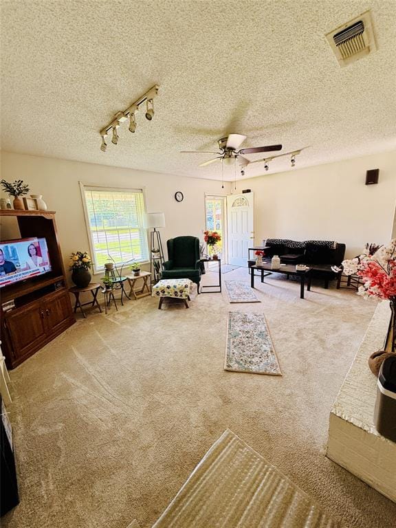 100 Vatra Street, Mount Vernon TX 75457 - Photo 21