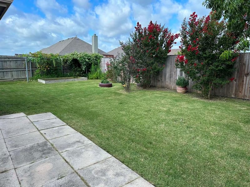 601 Ivy Lane, Josephine TX 75173 - Photo 3