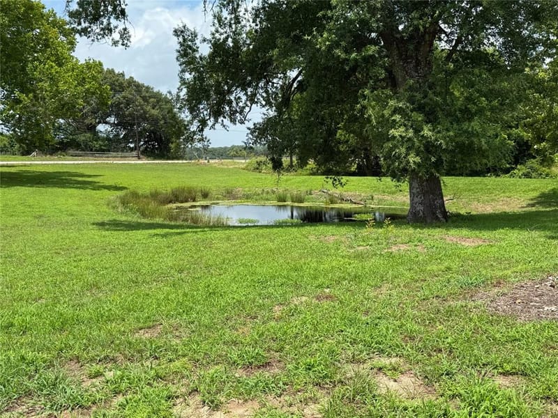 6555 Tx 154, Sulphur Springs TX 75482 - Photo 33