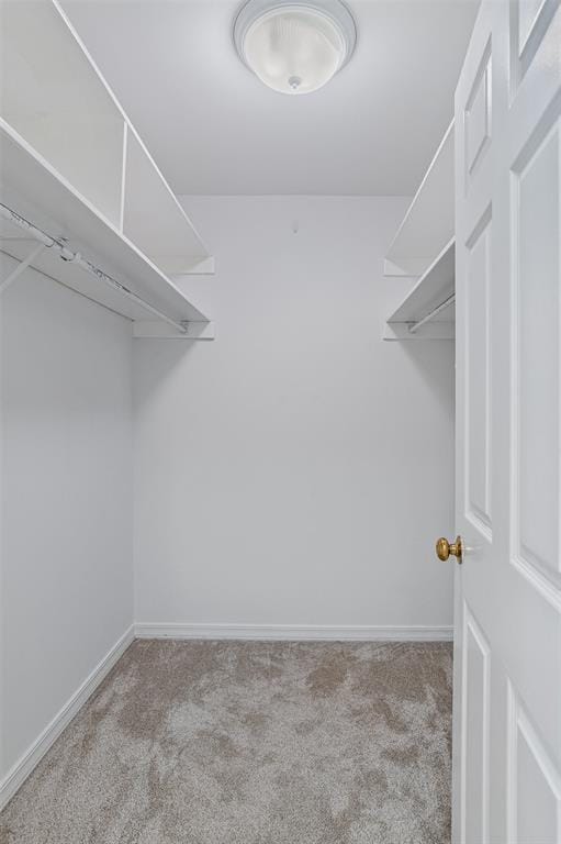 3513 Fairfield Avenue # 2, Shreveport LA 71104 - Photo 22