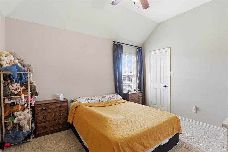 109 Palomino, Shady Shores TX 76208 - Photo 26