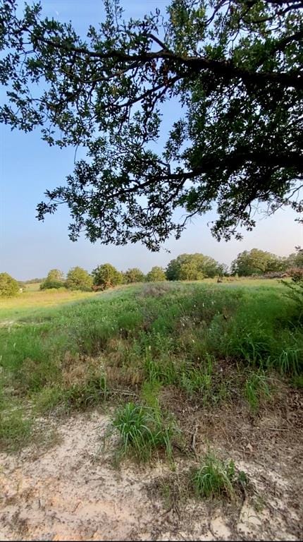 1704 County Road 3555, Paradise TX 76073 - Photo 37