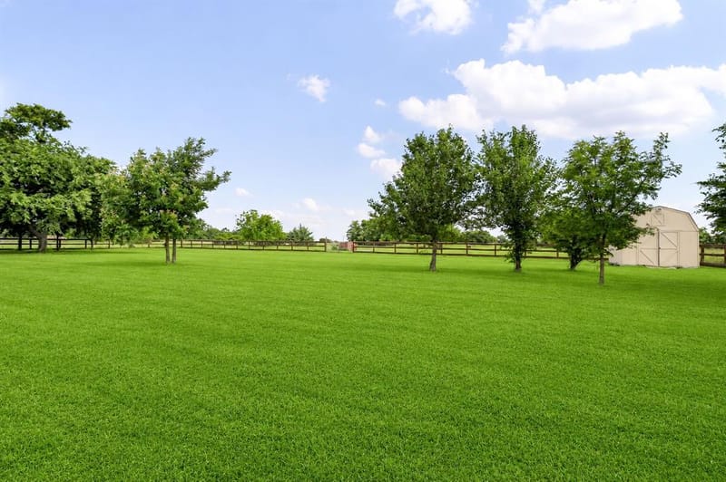 336 Meadows Estate Street, Tom Bean TX 75491 - Photo 30