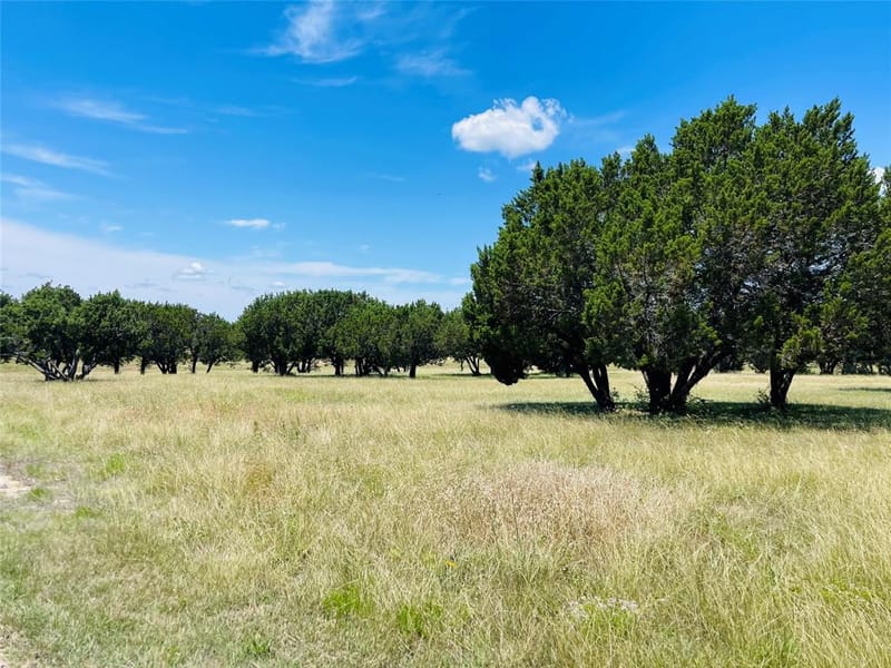 125 Patriot Drive, Whitney TX 76692 - Photo 21