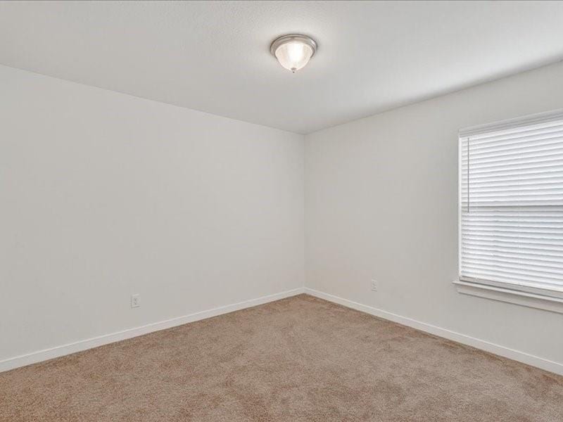 4218 Bullock Lane, Forney TX 75126 - Photo 22
