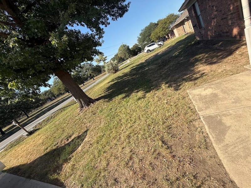 11204 Liberty School Road, Pelican Bay TX 76020 - Photo 23