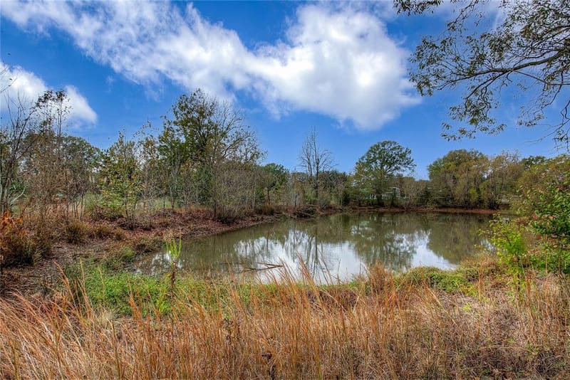 25378 US Highway 80, Grand Saline TX 75140 - Photo 36