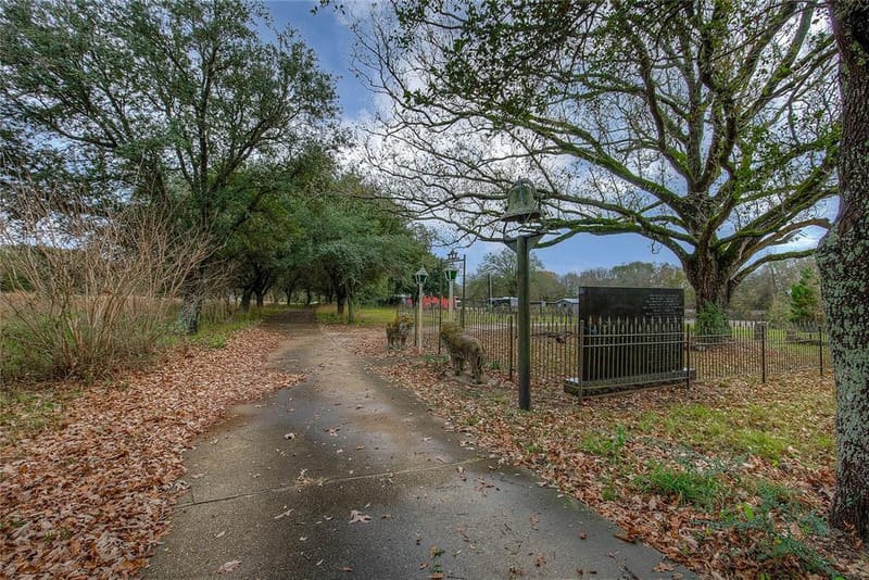 25378 US Highway 80, Grand Saline TX 75140 - Photo 35