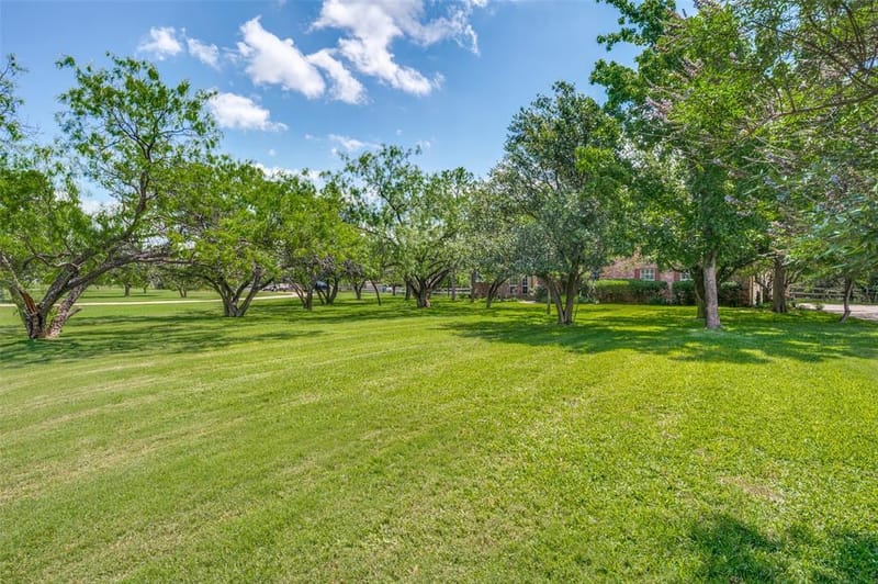 341 Onyx Drive, Oak Point TX 75068 - Photo 36