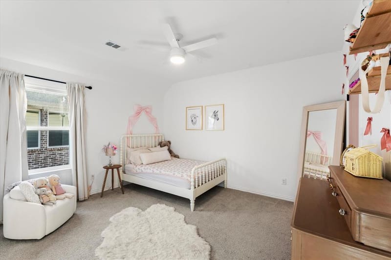 17009 Flagstone Drive, Celina TX 75009 - Photo 25