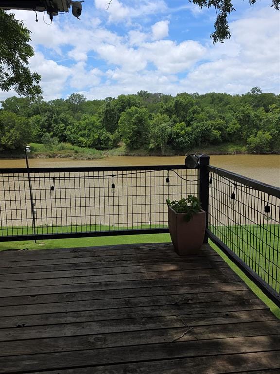 305 Chavez Trail, Weatherford TX 76087 - Photo 18