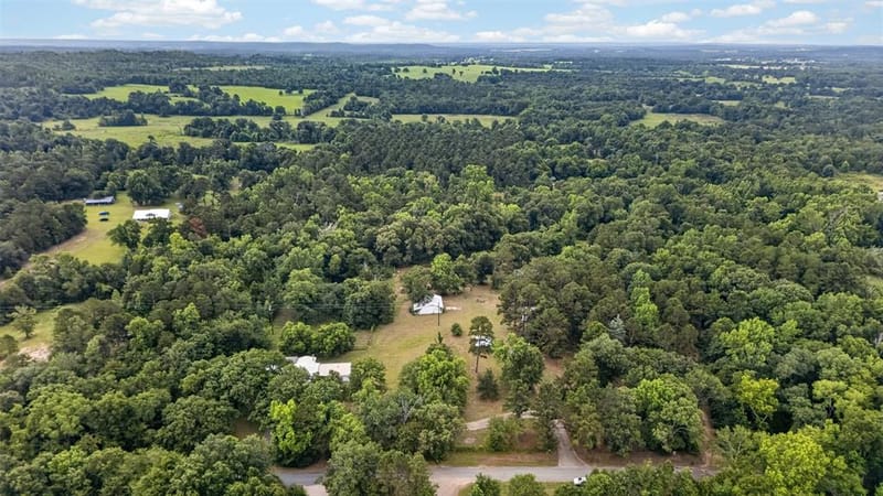 13314 County Road 4336, Larue TX 75770 - Photo 40