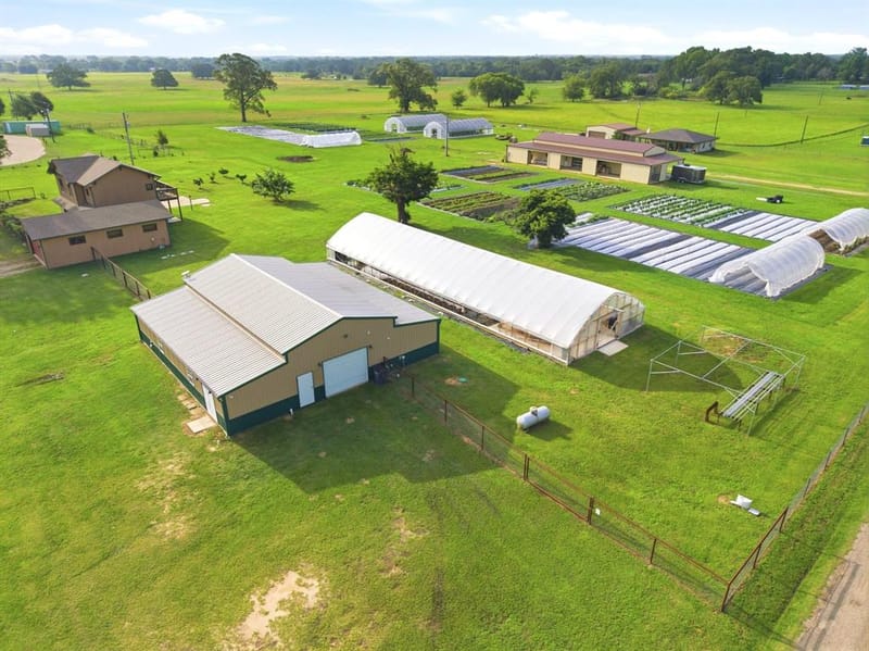 4020 FM 515, Emory TX 75440 - Photo 10