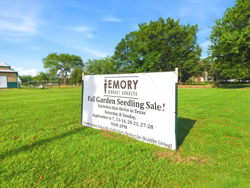 4020 FM 515, Emory TX 75440 - Photo 39