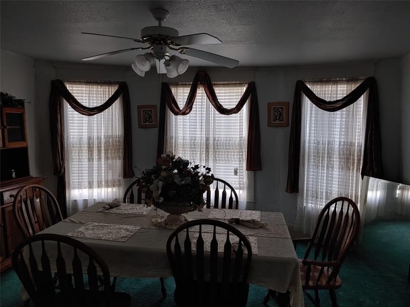 431 Fitzhugh Avenue, Paris TX 75460 - Photo 8
