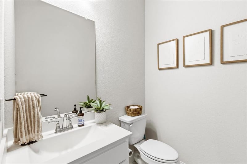 320 Moonvine Drive, Little Elm TX 75068 - Photo 25