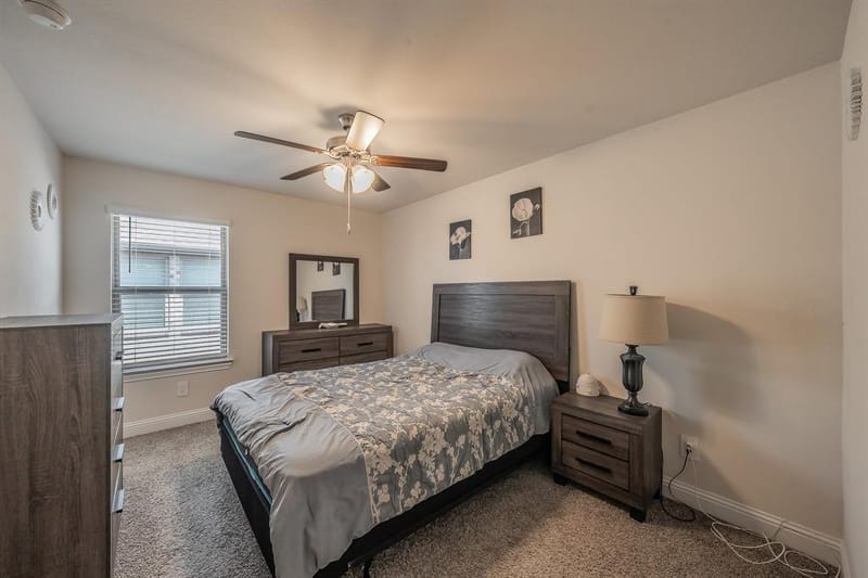 317 Brooklawn Avenue, Little Elm TX 75068 - Photo 17