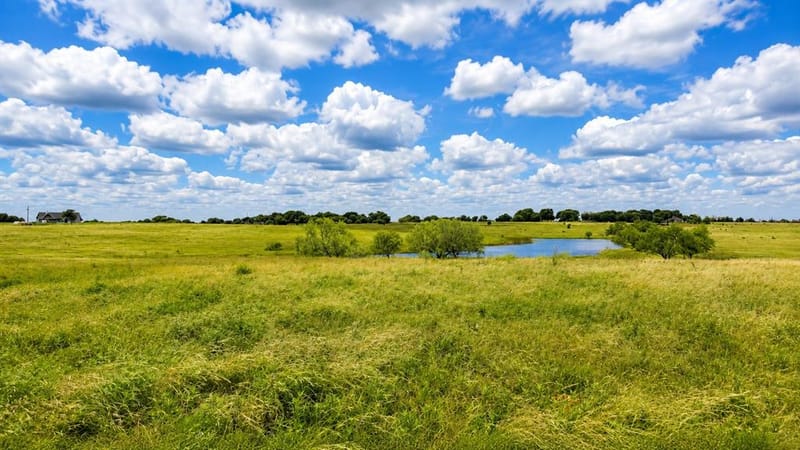 1444 County Road 218, Gainesville TX 76240 - Photo 6