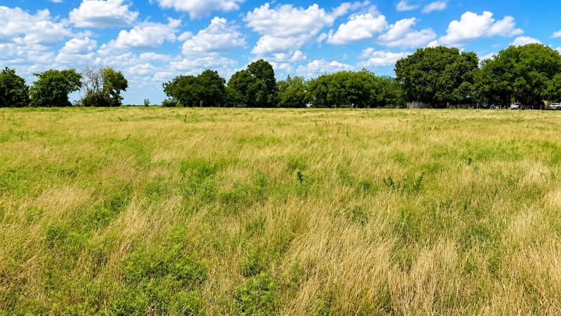 1444 County Road 218, Gainesville TX 76240 - Photo 5