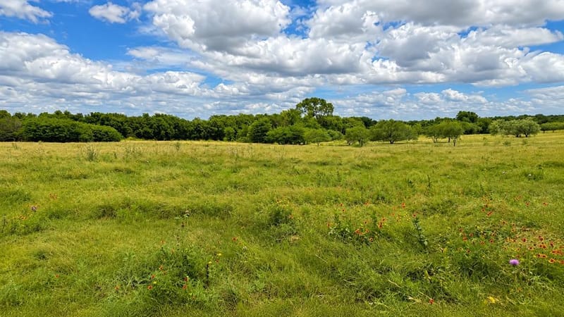 1444 County Road 218, Gainesville TX 76240 - Photo 4