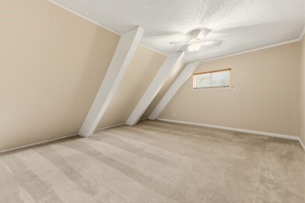 205 Roaring Springs Drive, DeSoto TX 75115 - Photo 14