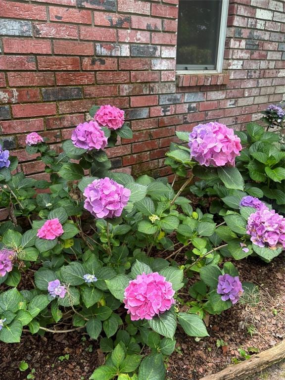 605 County road 2310, Mineola TX 75773 - Photo 35