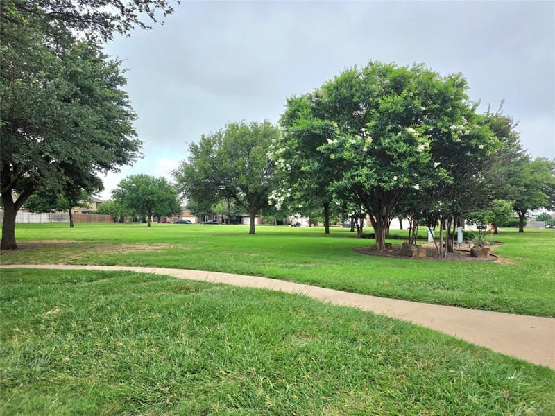 4425 Chaparral Creek Drive, Fort Worth TX 76123 - Photo 26