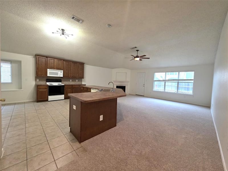 4425 Chaparral Creek Drive, Fort Worth TX 76123 - Photo 3