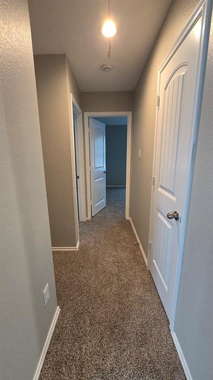 2101 Shady Glen Trail, Princeton TX 75407 - Photo 14