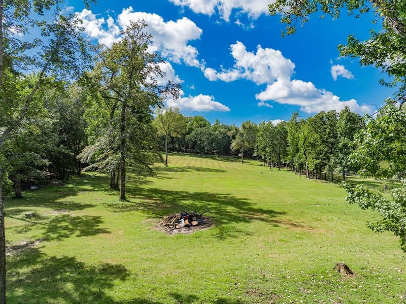 815 VZ County Road 4409, Ben Wheeler TX 75754 - Photo 6