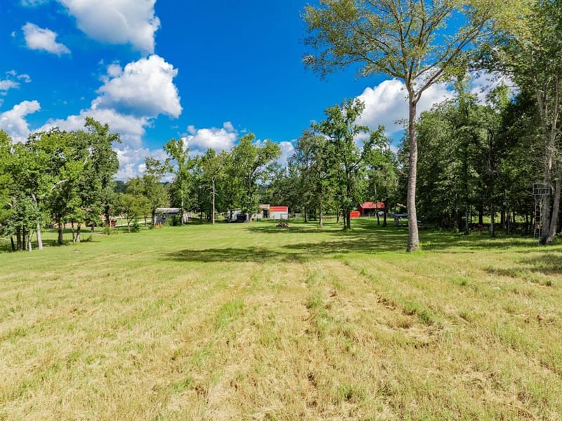 815 VZ County Road 4409, Ben Wheeler TX 75754 - Photo 36