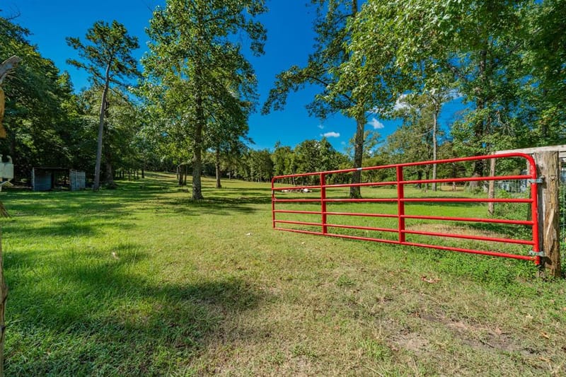 815 VZ County Road 4409, Ben Wheeler TX 75754 - Photo 5