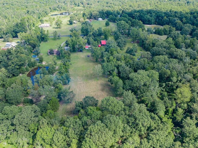 815 VZ County Road 4409, Ben Wheeler TX 75754 - Photo 38