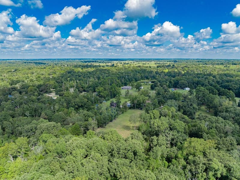 815 VZ County Road 4409, Ben Wheeler TX 75754 - Photo 37