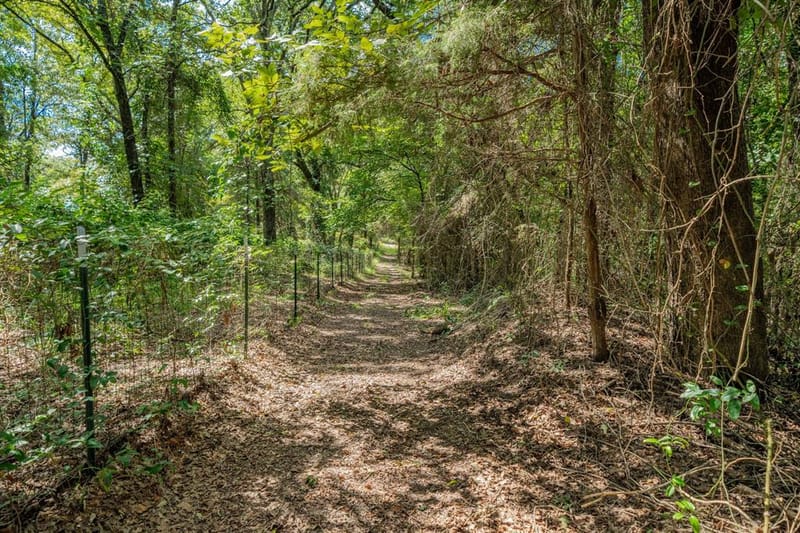 815 VZ County Road 4409, Ben Wheeler TX 75754 - Photo 39