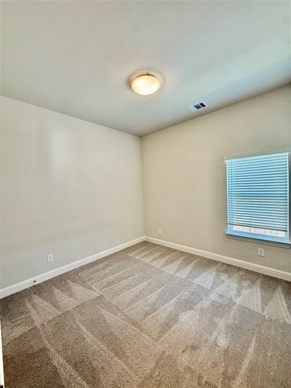 3834 Foot Hills Drive, Midlothian TX 76065 - Photo 14