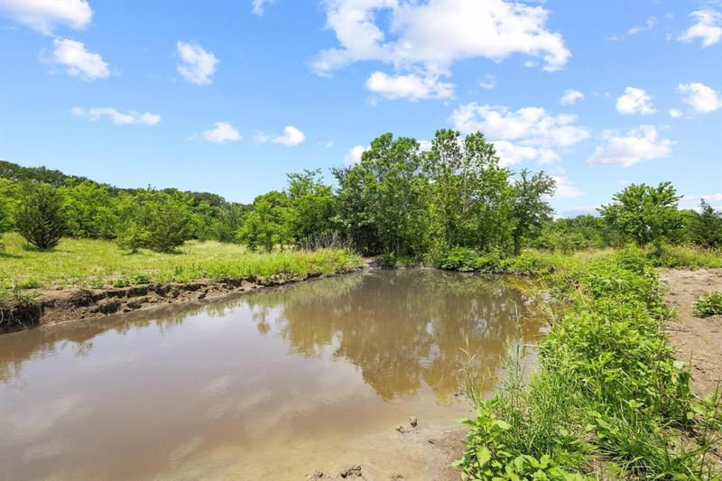 516 County Road 27450, Honey Grove TX 75446 - Photo 23