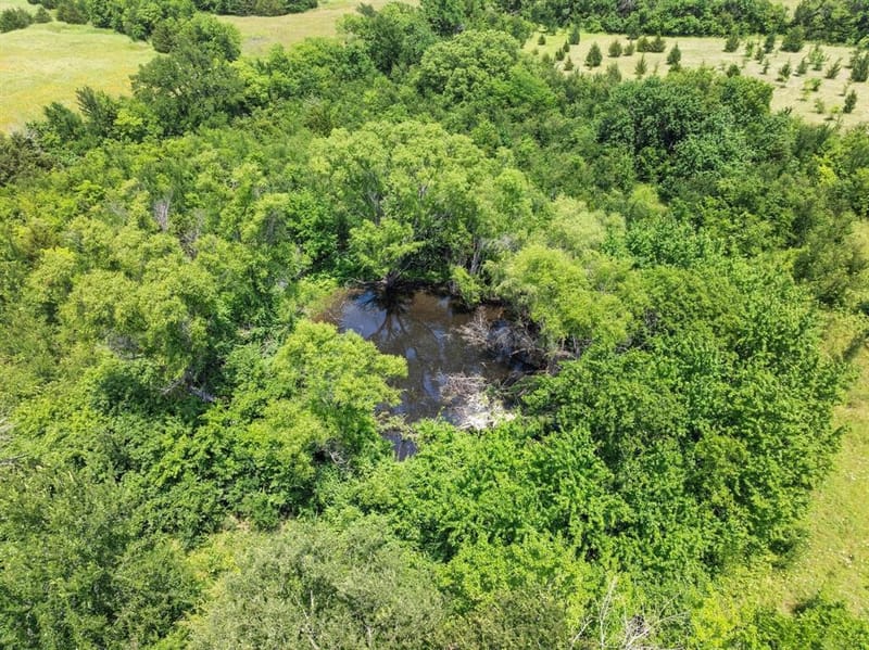516 County Road 27450, Honey Grove TX 75446 - Photo 22