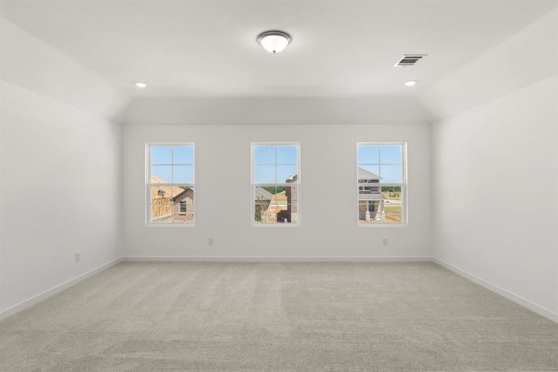 3642 Saffron Drive, Celina TX 75009 - Photo 19