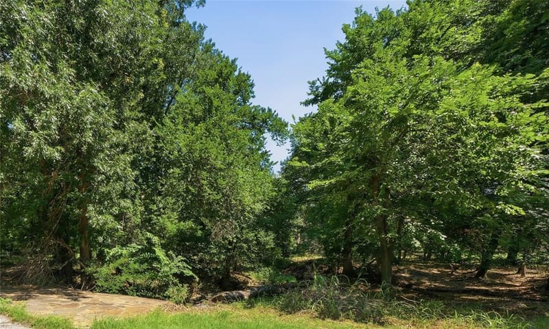 120 Lariat Court, Azle TX 76020 - Photo 9